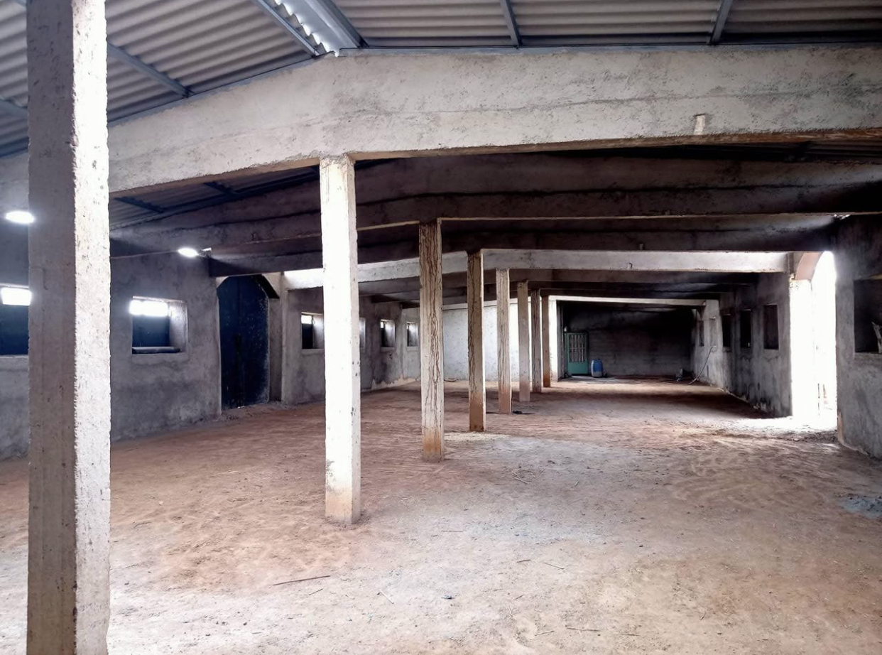 Hangar dépôt en location للكراء للشركات فقط